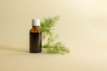 Bottle of essential oil with fresh dill on a beige background. Nature concept.