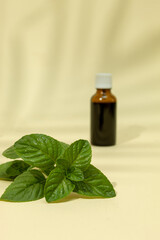 Bottle of essential oil with fresh mint mojito on a beige background. Nature concept.