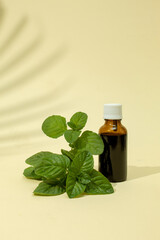 Bottle of essential oil with fresh mint mojito on a beige background. Nature concept.