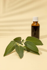 Bottle of essential oil with fresh sage on a beige background. Nature medical concept.