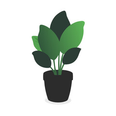 Minimalist Potted Houseplant Vector with Dark Green Leaves