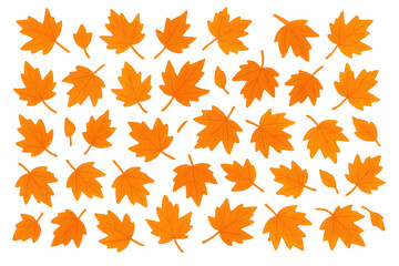 Seamless orange maple leaves falling, generating seasonal woodland pattern against transparent backdrop