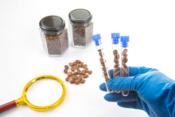 A scientist in blue gloves examines coffee beans in test tubes, with jars, a magnifying glass, and...