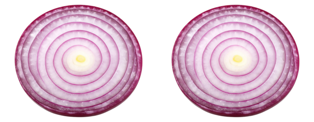Onion Cross Section Slice – Inner Rings Clearly Visible – Transparent