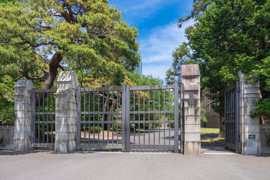 東北大学