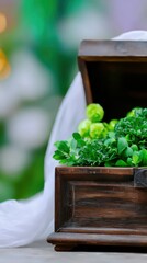 Antique Wooden Box Filled with Lush Green Plants