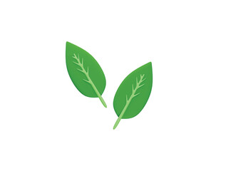 leaf icon 3d illustration render