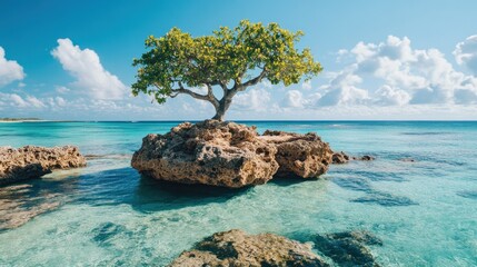 Tropical beach scene with a lone tree on a rock.