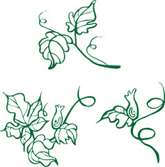 Fototapeta premium Set of elements of lush vegetation