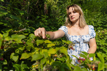 Woman Picking Raspberries into a Glass Bowl in the Garden