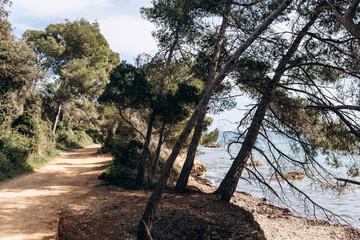 Scenic coastal landscapes of Sainte-Marguerite Island with pine trees, rocky shore, and turquoise...