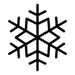 Snowflake icon. Vector line icon