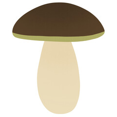 porcini mushroom isolated