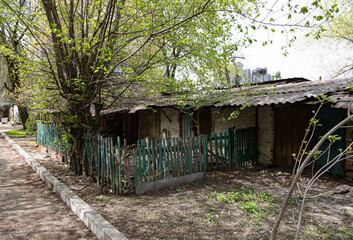 Old rural sheds with green wooden fence and overgrown trees in springtime
