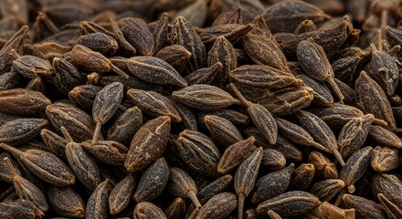 Close-Up of Aromatic Caraway Seeds