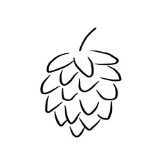 Malt flower sketch. Hand drawn plant hop vector illustration on isolated white background. Food drink ingredient. Cereal harvest, agriculture, organic farming. Design for print, label, card, sign logo