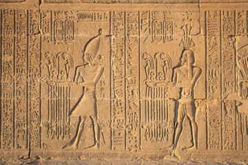 Ancient egyptian carvings on the walls of Kom Ombo temple in Aswan, Egypt
