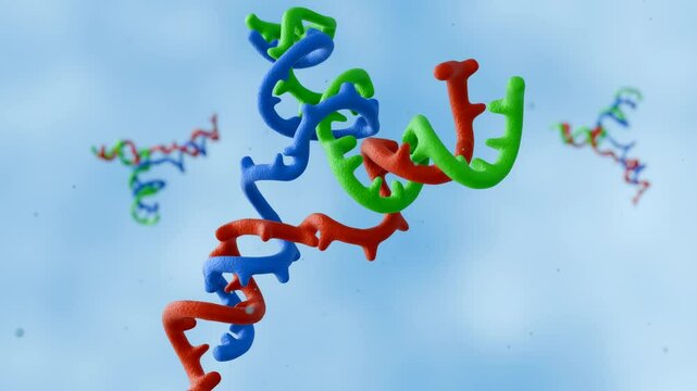 A 3d animation of DNA three-way junction, a crucial structural motif found in various biological processes such as DNA recombination, repair, and replication.
