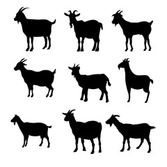Various Silhouette Representations Of Goats in Different Poses and Stances