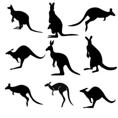 Silhouette Collection of Kangaroos Jumping Sitting Standing in Different Poses