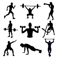 Diverse Training Regimen for Optimal Physical Performance Enhancement Plan