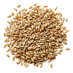 Obraz premium Heap of dry barley grains, nutritional ingredient on transparent background