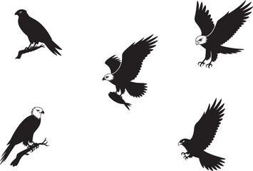 Five Black Silhouettes of Eagles and Hawks Perched and in Flight Carrying Fish bird