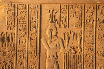 Ancient egyptian carvings on the walls of Kom Ombo temple in Aswan, Egypt