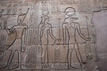 Ancient egyptian carvings on the walls of Kom Ombo temple in Aswan, Egypt