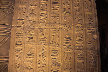 Ancient egyptian hieroglyphs carved on the walls of Kom Ombo temple in Aswan, Egypt