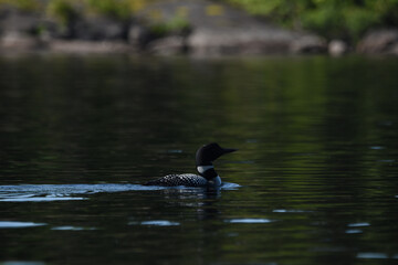 Parc Mauricie - 21 Juin 2025