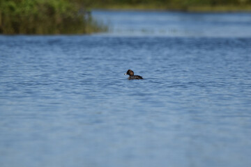 Parc Mauricie - 21 Juin 2025