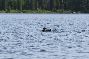 Parc Mauricie - 21 Juin 2025