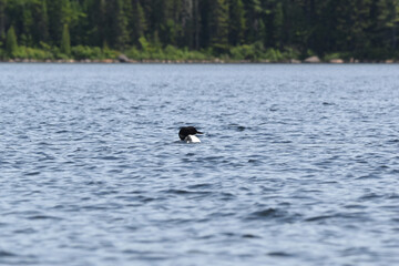 Parc Mauricie - 21 Juin 2025