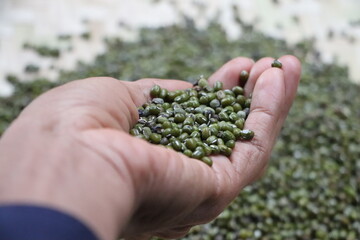 The price of peanuts has increased in the market