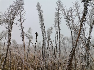 A collection of breathtaking mountain landscapes covered in snow, showcasing the quiet majesty of...