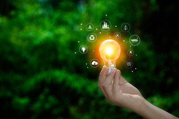 light bulb on green grass nature, eco friendly energy. Innovation technology eco energy concept. light bulb energy sources for renewable. Concept with innovation inspiration. Idea innovative.