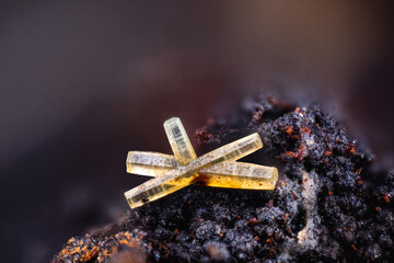 Twinned Mimetite crystals. Specimen from la Rouvière, St-Marguerite-Lafigère, France. Micro photography extreme close-up. microscope mineral crystal photography for Scientific use.