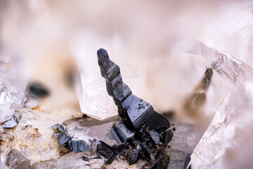 Black Anatase on Quartz. Specimen from Les crevasses, Jarrier, Alpes, France. Micro photography extreme close-up. microscope mineral crystal photography for Scientific use.