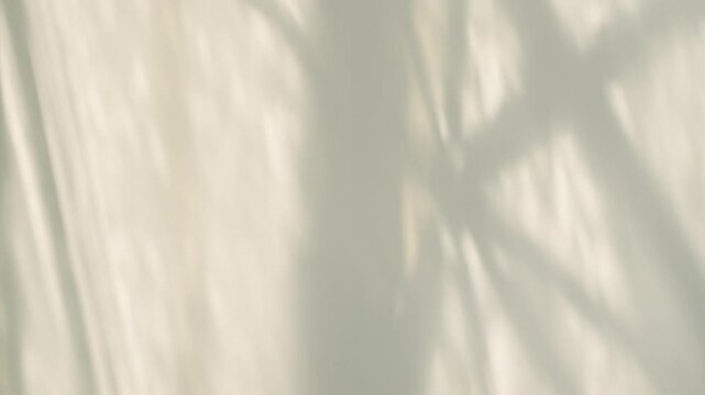 Soft organic leaf shadows dancing on neutral textured wall for lifestyle background.