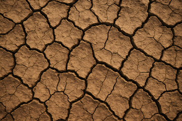 dry cracked soil