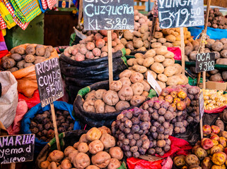 Vibrant stall overflowing with native andean potatoes at the iconic San Camilo covered market in Arequipa, Peru