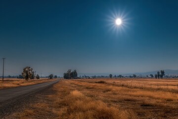 Fototapeta premium Country Road Cutting Through Golden Field Under Bright Sunny Sky in Rural Landscape During the Day