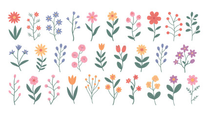 collection of colorful hand-drawn floral illustrations featuring various elegant flower and leaf designs in a decorative artistic style