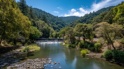 Exploring the Harmony of Nature and Technology with Sustainable Energy Solutions over a Pristine River