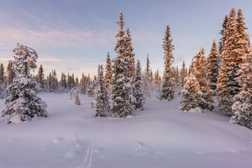 Winter landscape at Hirvasåive