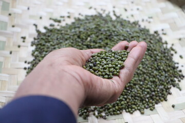 The price of peanuts has increased in the market