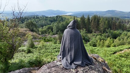 A lone cloaked figure gazes out from a rocky outcrop over a sweeping forest landscape. Evokes...