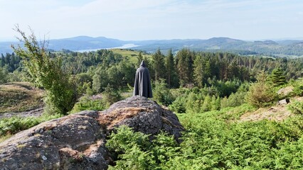A lone cloaked figure gazes out from a rocky outcrop over a sweeping forest landscape. Evokes...
