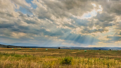 Rural landscape with round hay bales resting on a grassy meadow under a soft, cloudy sky. The scene...